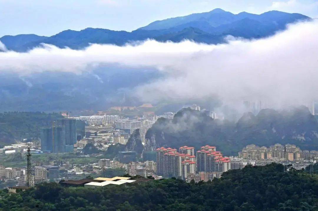 云浮_2025澳门正版免费精准大全,非议审核详细解答、解释与落实